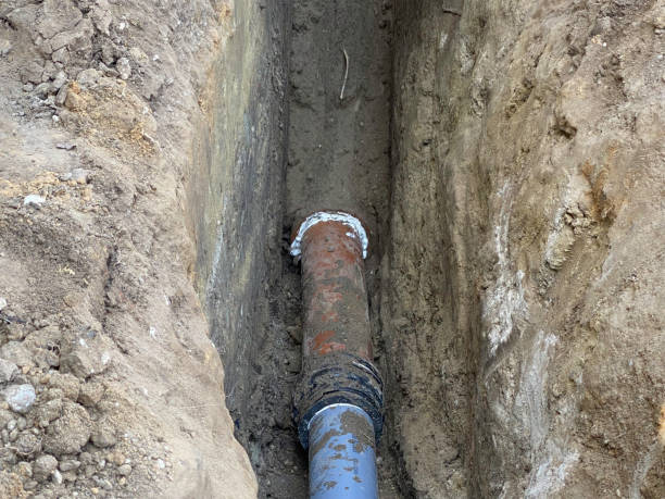 Best Professional water damage repair  in Cozad, NE