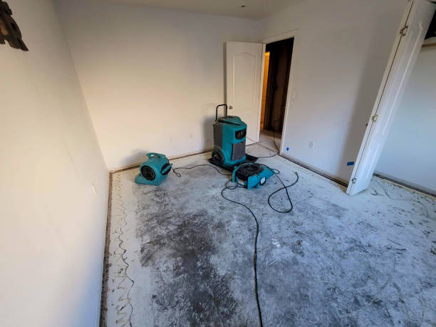 Best Water damage contractors near me  in Cozad, NE