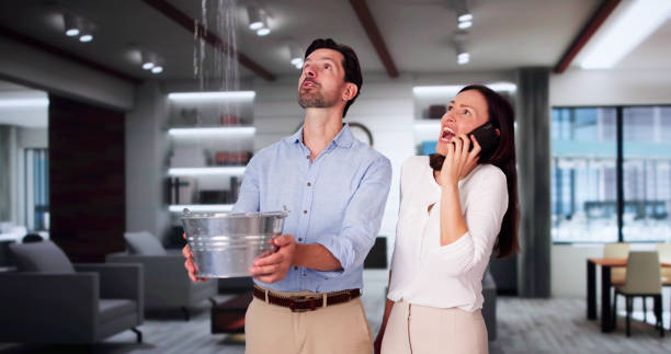 Best Sewage cleanup and water damage restoration  in Cozad, NE
